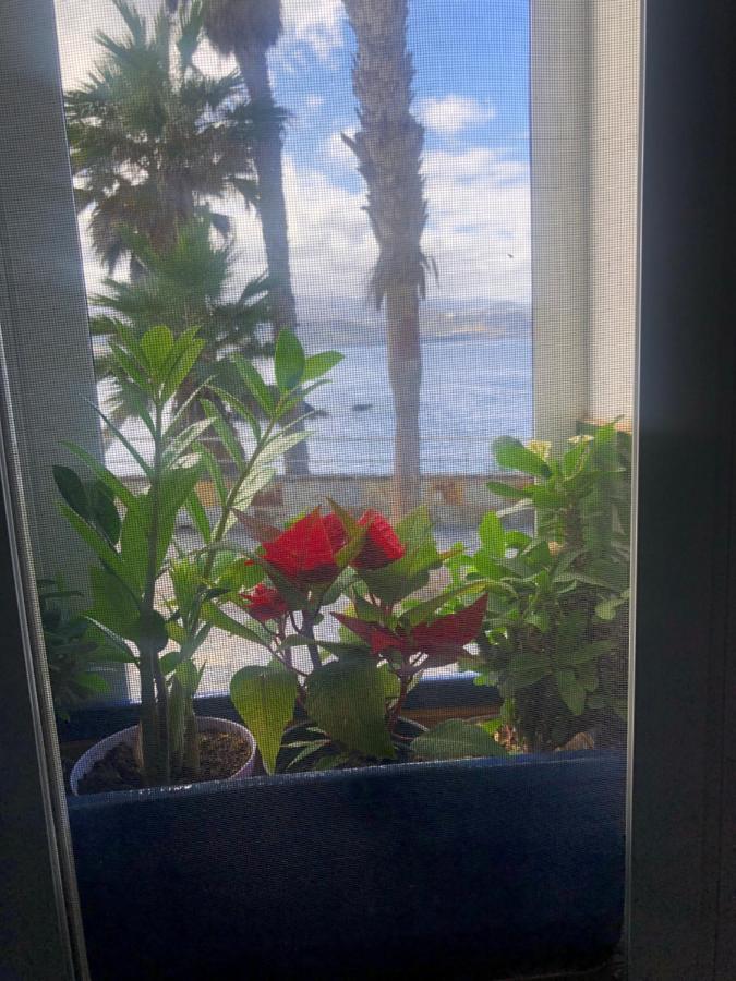 Natural Confital Beach 大加那利岛拉斯帕尔马斯 外观 照片
